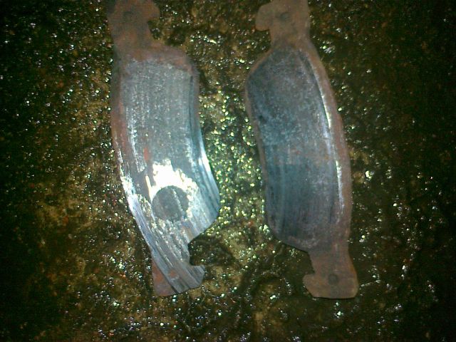 20101220523small.jpg